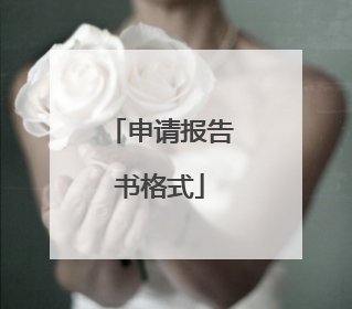 申请报告书格式