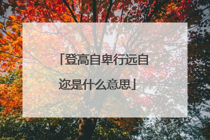 登高自卑行远自迩是什么意思