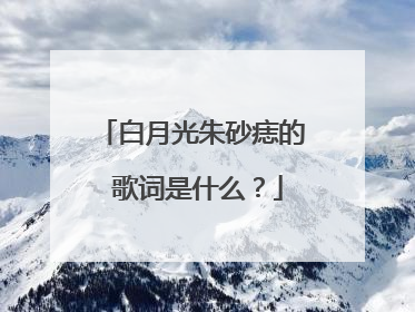 白月光朱砂痣的 歌词是什么？