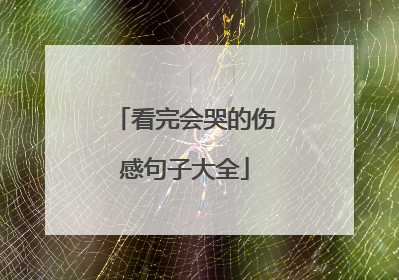 看完会哭的伤感句子大全