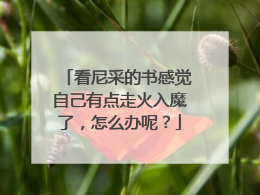 看尼采的书感觉自己有点走火入魔了，怎么办呢？