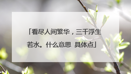 看尽人间繁华，三千浮生若水。什么意思 具体点