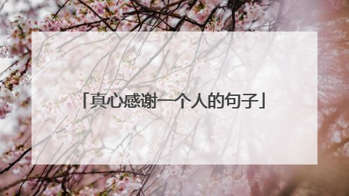 真心感谢一个人的句子