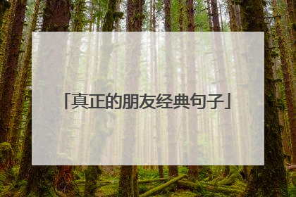 真正的朋友经典句子