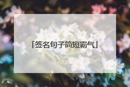 签名句子简短霸气