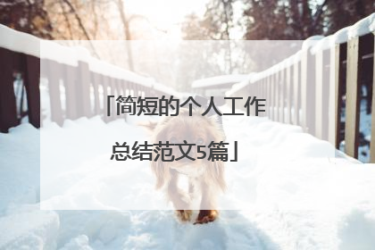 简短的个人工作总结范文5篇