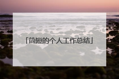 简短的个人工作总结