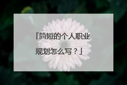 简短的个人职业规划怎么写？