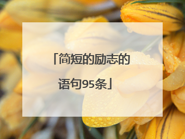 简短的励志的语句95条