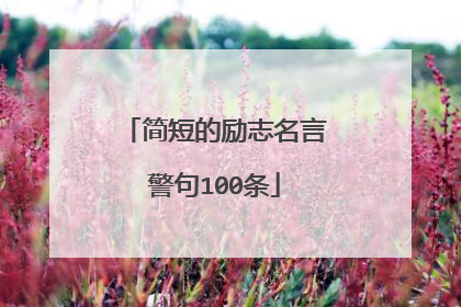 简短的励志名言警句100条