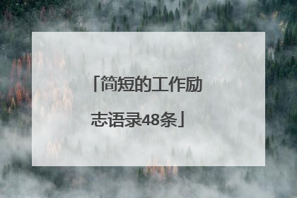 简短的工作励志语录48条