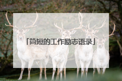 简短的工作励志语录