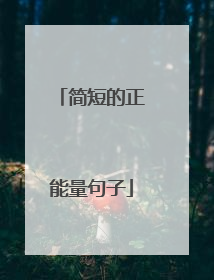简短的正能量句子