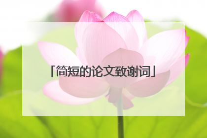 简短的论文致谢词