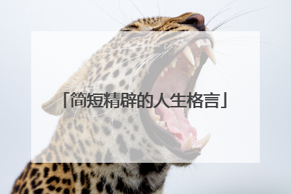 简短精辟的人生格言