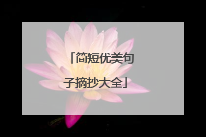 简短优美句子摘抄大全