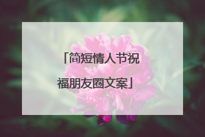 简短情人节祝福朋友圈文案