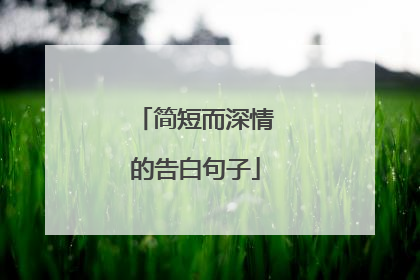 简短而深情的告白句子