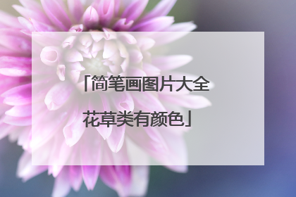 简笔画图片大全花草类有颜色