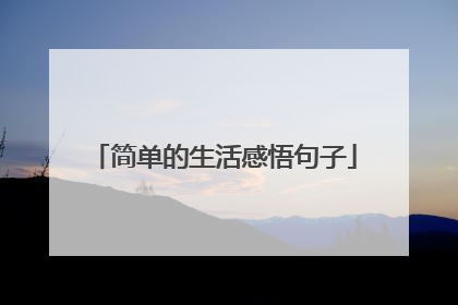 简单的生活感悟句子