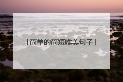 简单的简短唯美句子