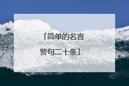 简单的名言警句二十条