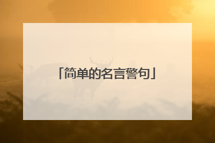 简单的名言警句