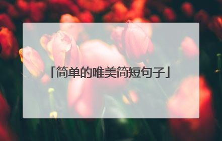 简单的唯美简短句子