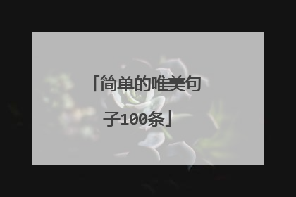 简单的唯美句子100条