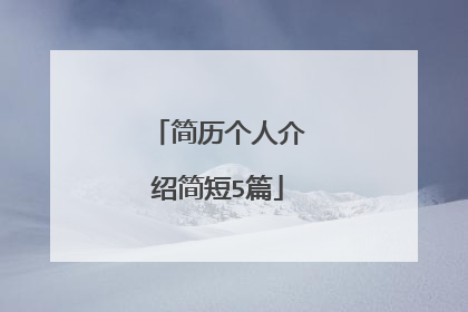 简历个人介绍简短5篇