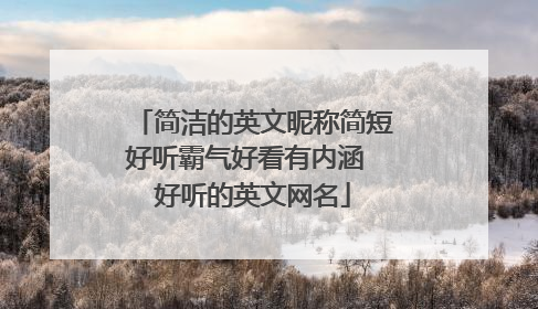 简洁的英文昵称简短好听霸气好看有内涵 好听的英文网名