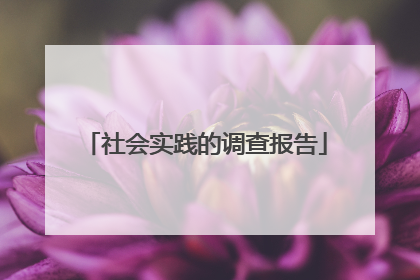社会实践的调查报告