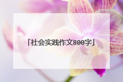 社会实践作文800字