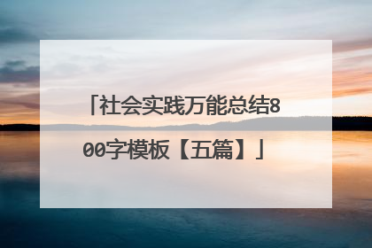 社会实践万能总结800字模板【五篇】