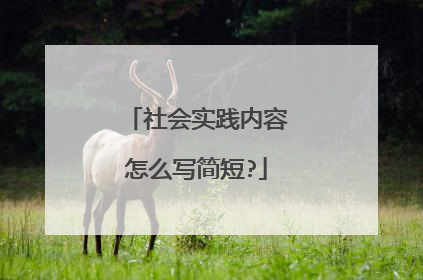 社会实践内容怎么写简短?