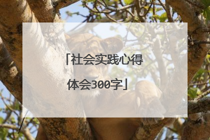 社会实践心得体会300字