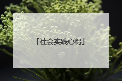社会实践心得