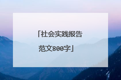 社会实践报告范文800字