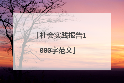 社会实践报告1000字范文
