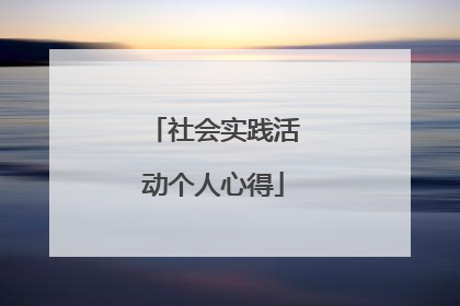 社会实践活动个人心得