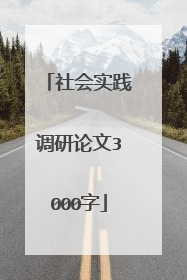 社会实践调研论文3000字