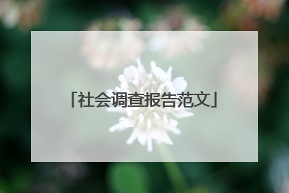 社会调查报告范文