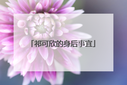 祁可欣的身后事宜