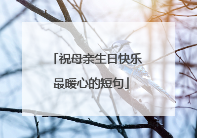 祝母亲生日快乐最暖心的短句