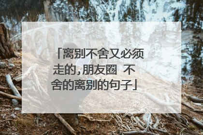 离别不舍又必须走的,朋友圈 不舍的离别的句子