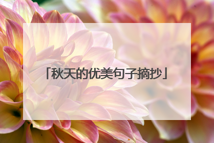 秋天的优美句子摘抄