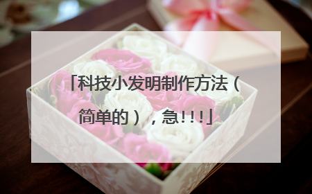 科技小发明制作方法（简单的），急!!!