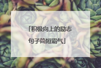 积极向上的励志句子简短霸气