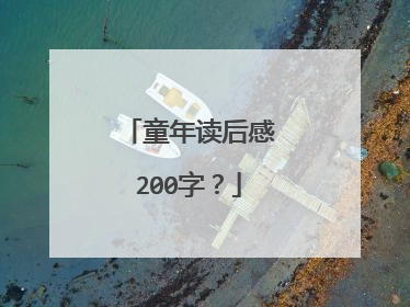 童年读后感200字？