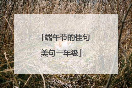 端午节的佳句美句一年级